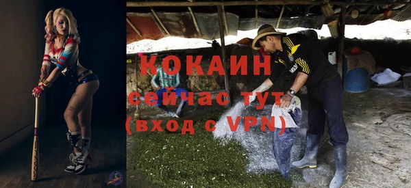 гидра Пестово