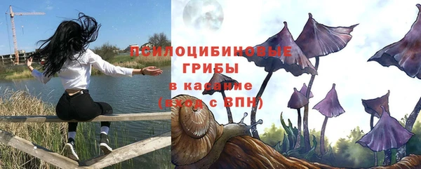 прущие крисы Балабаново