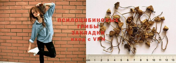 спайс Переславль-Залесский