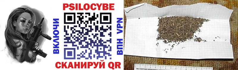 Псилоцибиновые грибы ЛСД  Стародуб 