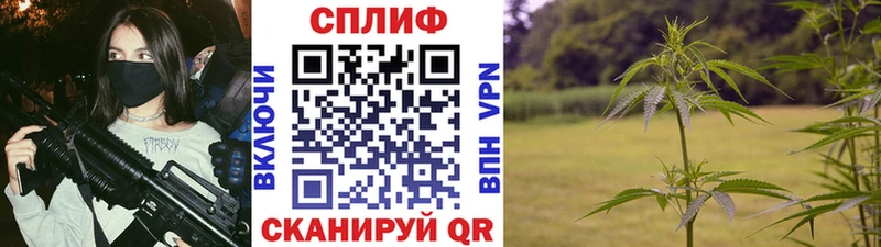 МАРИХУАНА конопля наркотики Стародуб